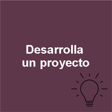 Desarrolla un proyecto