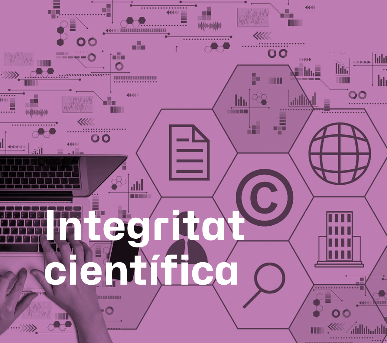 Integritat científica