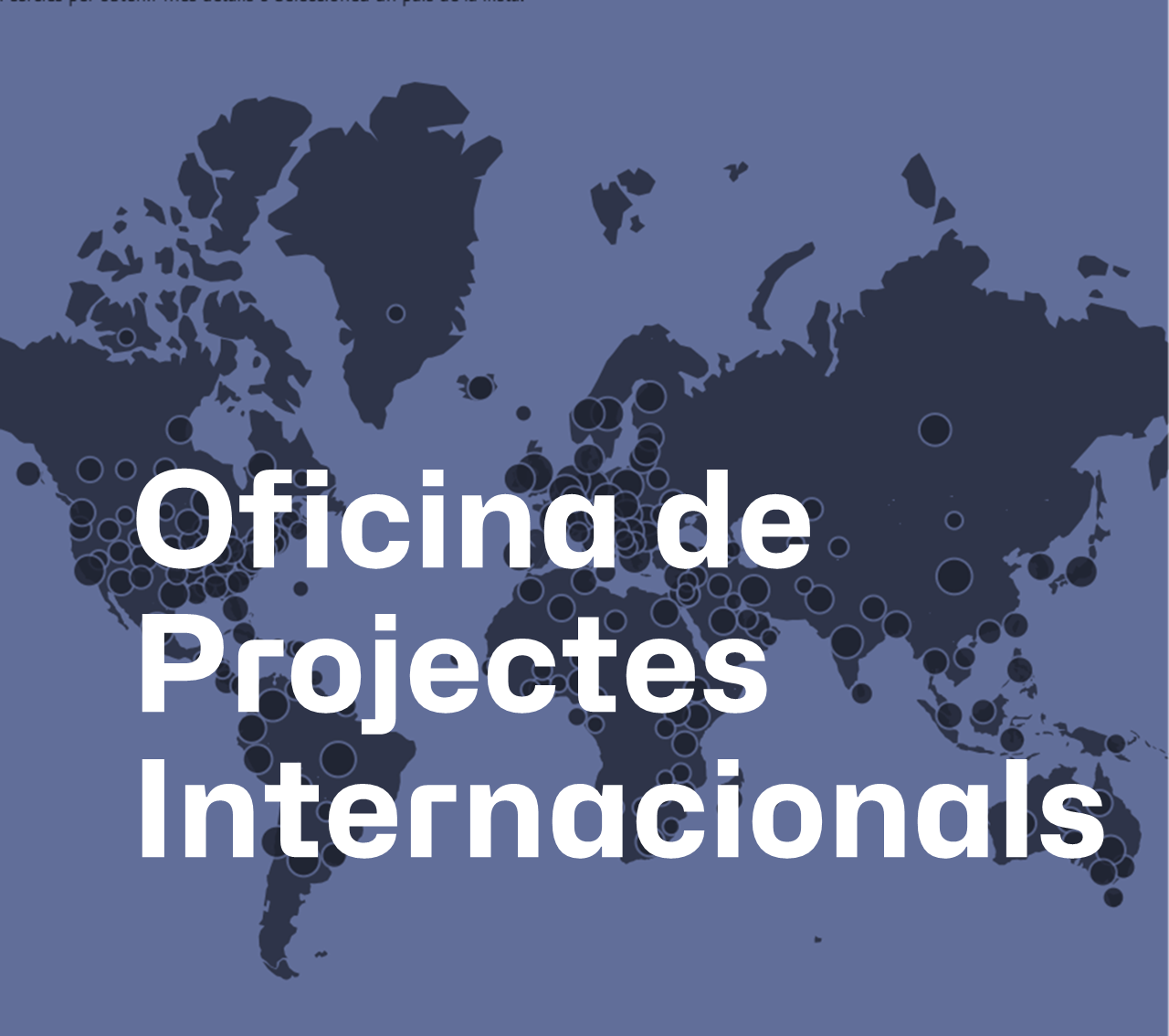 Oficina de Projectes Internacionals