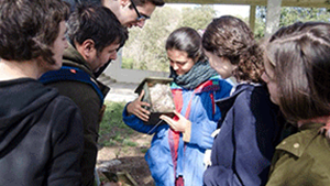 Activitats mediambientals a la UAB