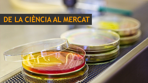 Programa De la Ciència al Mercat