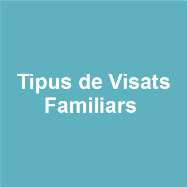 Tipos Visados Familiares