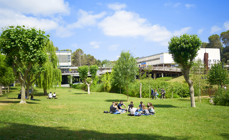 Grups d'estudiants a la gespa del Campus UAB