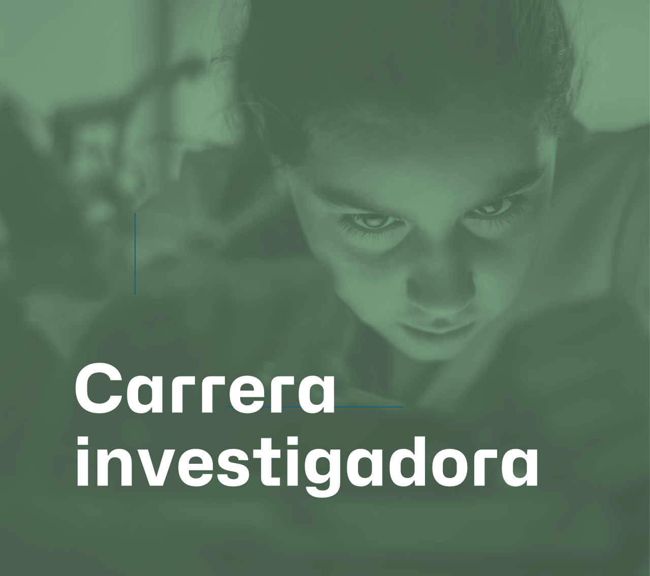 Carrera investigadora