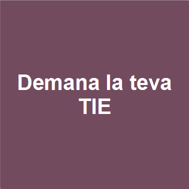 Demana la teva TIE