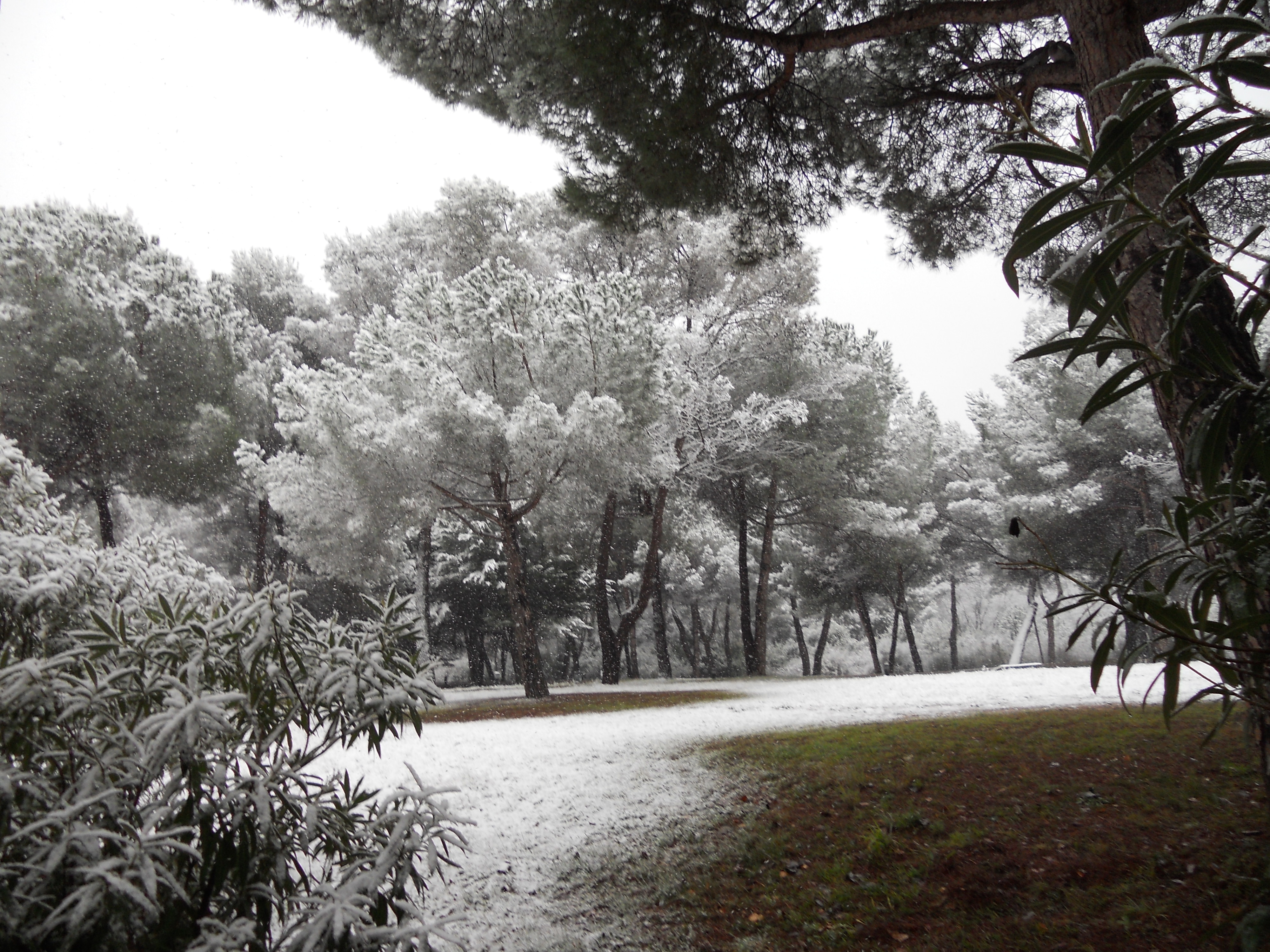 Nieve en el campus de la UAB