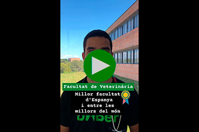 Veterinaria