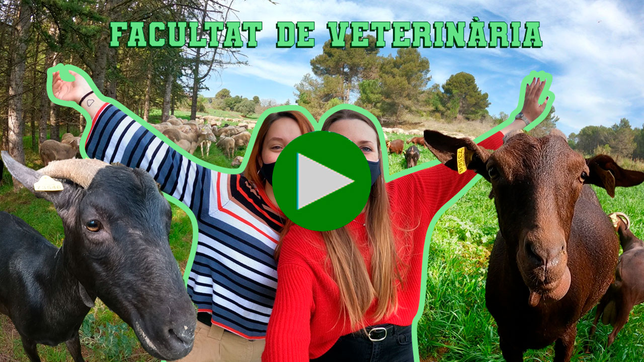 Facultat de Veterinària